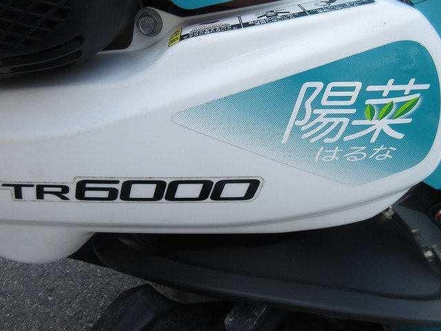 �N�{�^�@�g���N�^�[�@����A�V�X�g