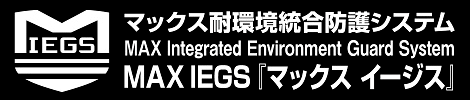 マックス イージス マックス イージス